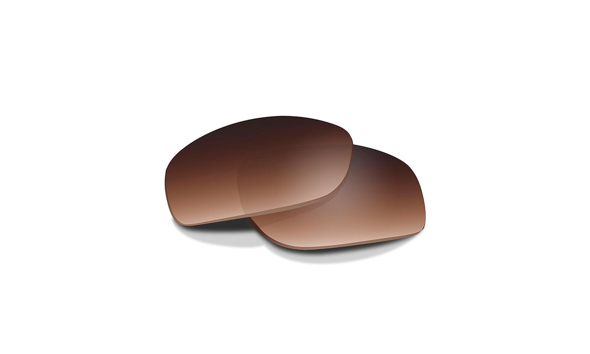 Wiley X Brown Gradient product photo