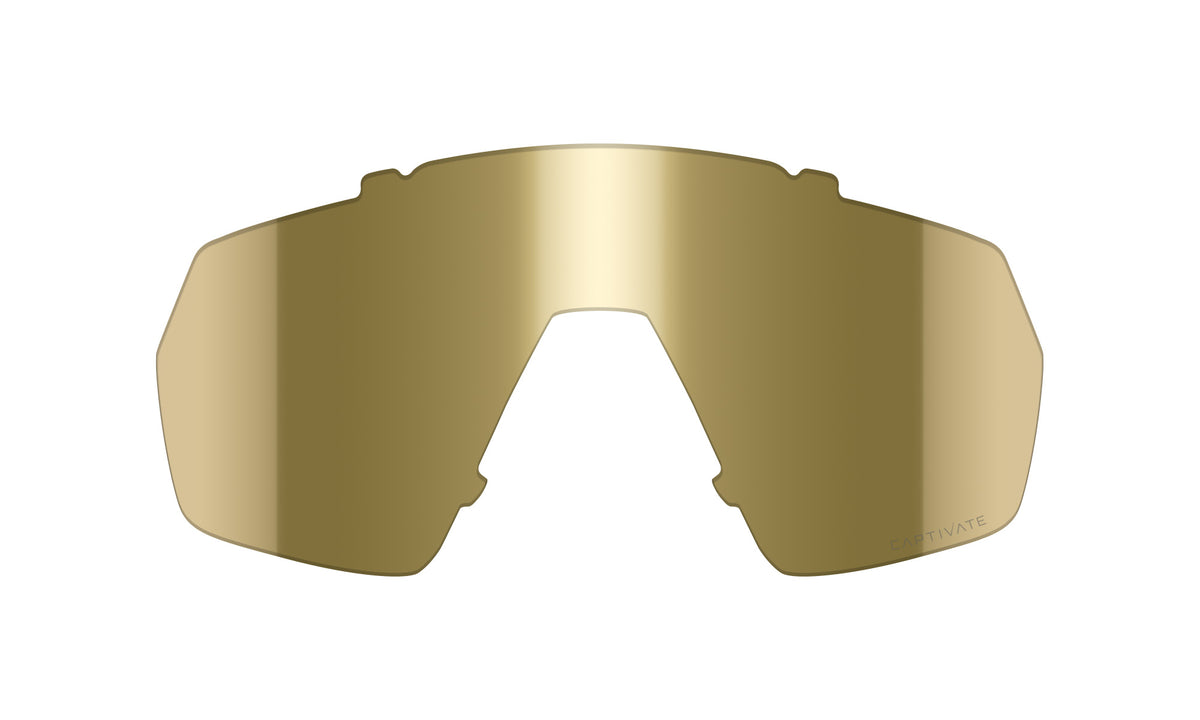 Wiley X eyewear product photo (model CHCTDCGLDM)